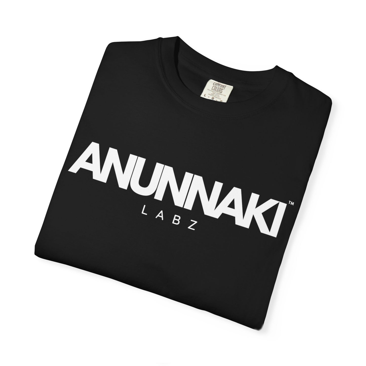 Anunnaki Labz Unisex T-Shirt | Garment-Dyed Graphic Tee for Cosmic Vibes