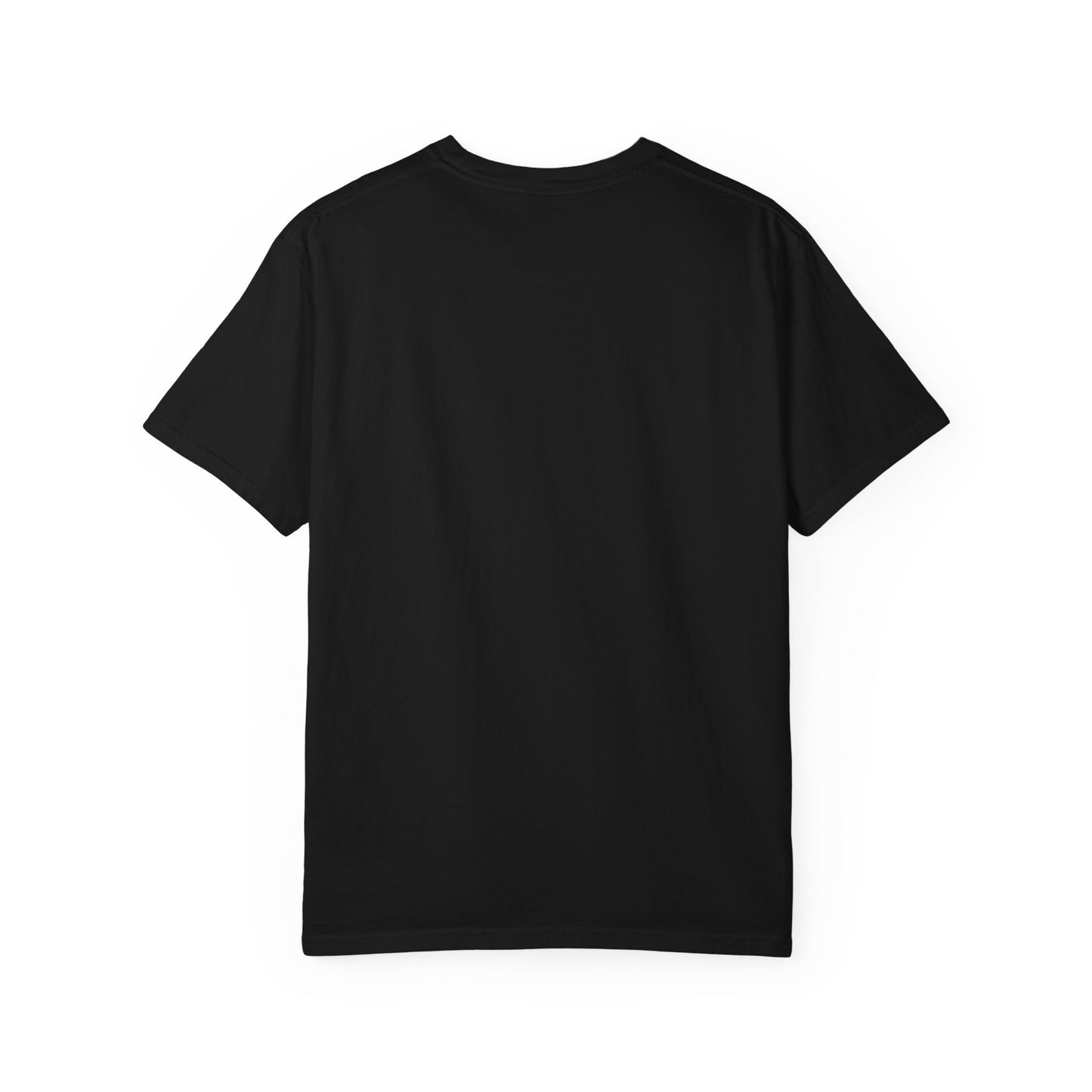 Anunnaki Labz Unisex T-Shirt | Garment-Dyed Graphic Tee for Cosmic Vibes